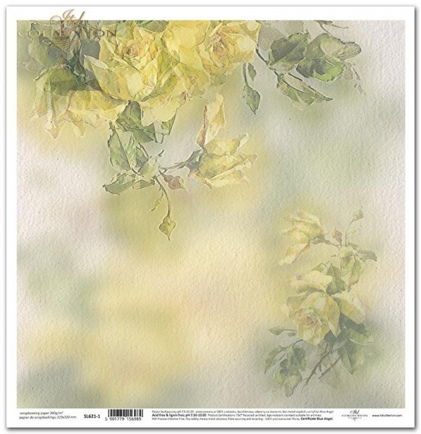 kwiaty, żółte róże*flowers, yellow roses*Blumen, gelbe Rosen