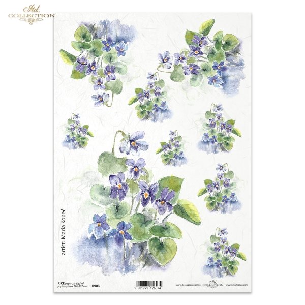 fiołek, fiołki, kwiat, ogród, łąka, wiosna, autorka grafiki Maria Kopeć, R903, violet, flower, garden, meadow, spring, Veilchen, Blume, Garten, Wiese, Frühling, violeta, violetas, flor, jardín, prado, primavera