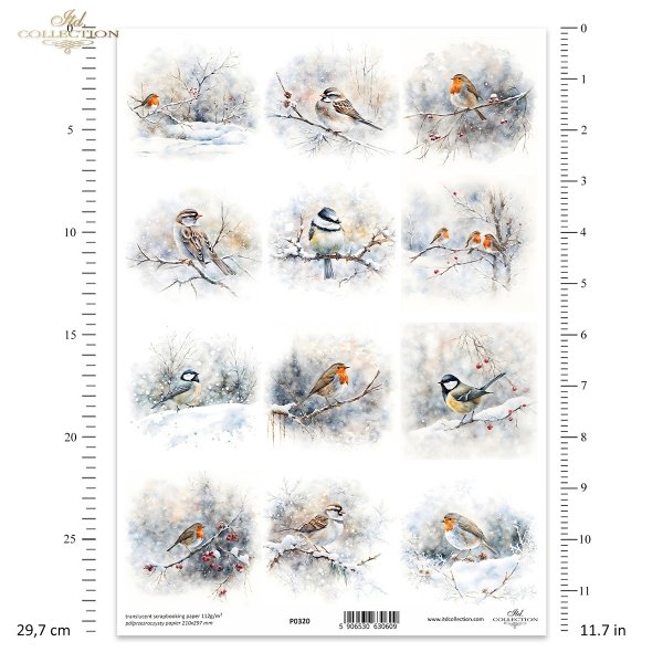zimowe ptaki, rudzik, sikora, wróbel*winter birds, redshank, titmouse, sparrow*Wintervögel, Rotschenkel, Meise, Sperling*aves de invierno, archibebe común, carbonero común, gorrión común