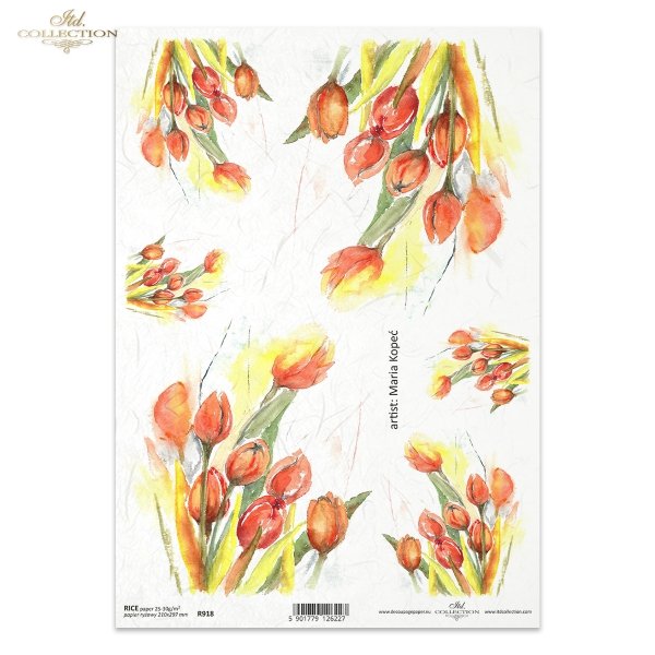 tulipan, kwiat, ogród, łąka, wiosna, autorka grafiki Maria Kopeć, R918, flower, garden, meadow, spring, Blume, Garten, Wiese, Frühling, flor, jardín, prado, primavera, tulipán, Tulpe, tulip