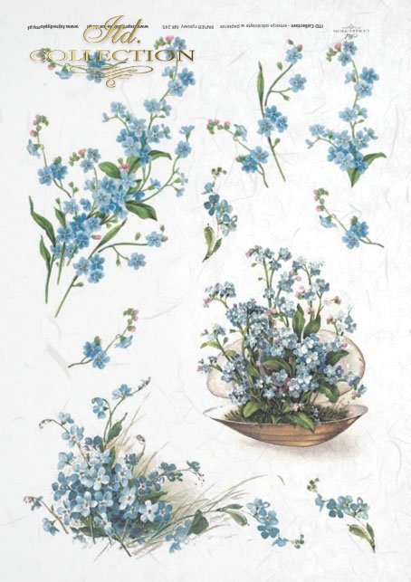 spring flowers, flowers, small blue flowers, forget-me-nots, flower arrangement, twigs, bouquets and single flower 
