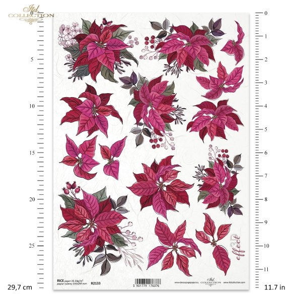 poinsecja, gwiazda betlejemska, kwiat, klimat Bożego Narodzenia, poinsettia, star of Bethlehem, flower, Christmas spirit, Weihnachtsstern, Stern von Bethlehem, Blume, Weihnachtsstimmung, poinsettia, estrella de Belén, flor