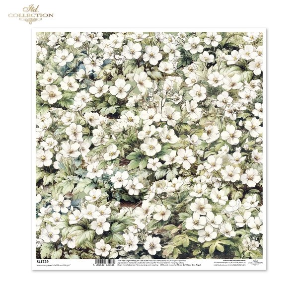 kwiaty flowers Blumen flores 