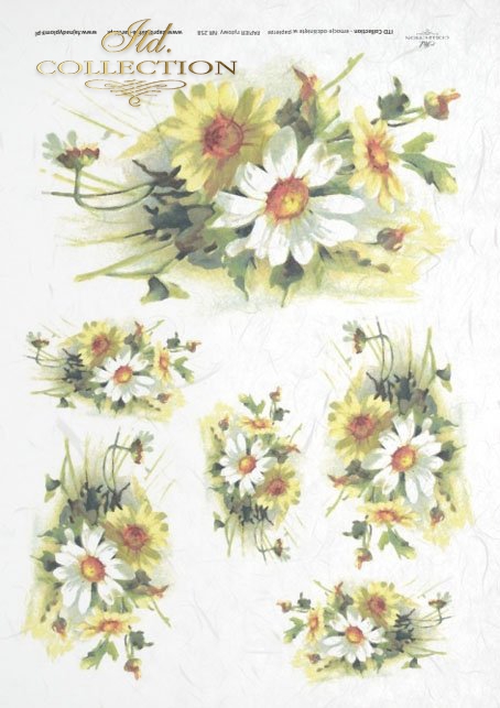 margarette, various wild flowers, white and yellow 
