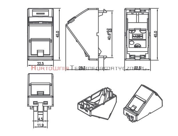 SOLARIX adapter kątowy 1mod. 1 x RJ45 z plakietką opisową i klapką