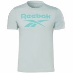 Reebok t-shirt seledynowy bawełniany męski koszulka duży napis