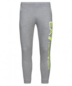 Spodnie męskie Emporio Armani EA7 duże logo szare