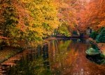 Fototapeta na ścianę - Jezioro w lesie jesienią - 254x183 cm