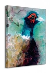 Obraz do salonu - Male Pheasant