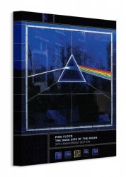 Obraz na płótnie - Pink Floyd (Dark Side Of The Moon, 30th Anniversary) - 30x40cm