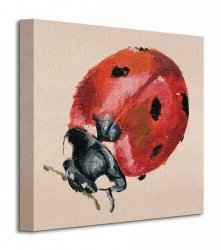 Ladybird - Obraz na płótnie