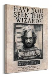 Harry Potter (Wanted Sirius Black) - Obraz na płótnie