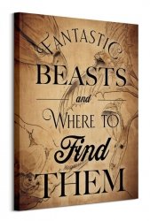 Obraz Ścienny - Fantastyczne bestie Fantastic Beasts (Beast Drawings)