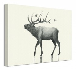 Calling Elk - obraz na płótnie