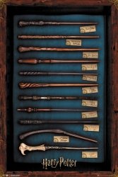 Harry Potter Wands - plakat z filmu