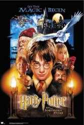 Plakat na ścianę - Harry Potter i Kamień Filozoficzny