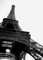 Fototapeta do salonu - Wieża Eiffel, Paryż - 183x254 cm
