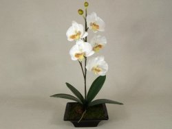 Sztuczny storczyk - Orchidea - W doniczce - Biały - 28x50cm 