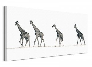 Obraz na płótnie - Cztery Żyrafy - The Giraffes)