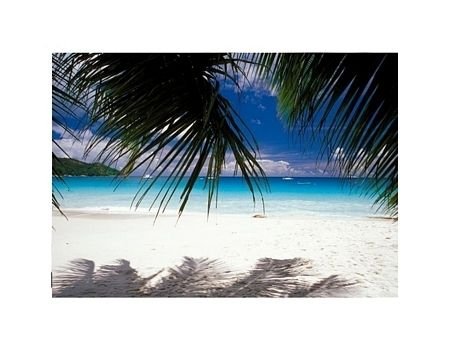 Seychelles - biała piaszczysta plaża - reprodukcja