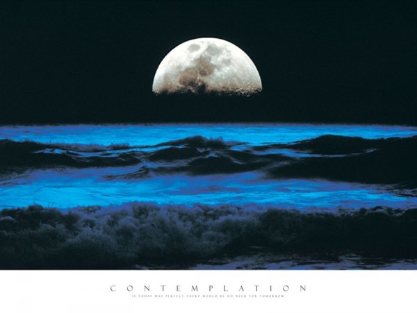 Contemplation - reprodukcja