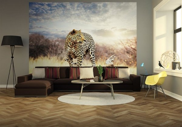 Fototapeta na ścianę - Leopard - 366x254 cm