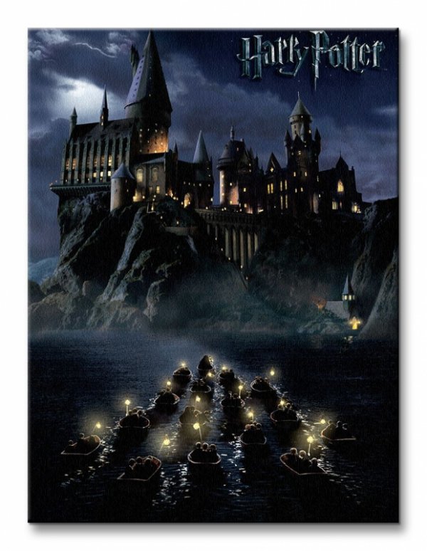 Obraz na płótnie  Harry Potter (Hogwarts School) - 30x40 cm