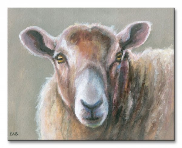 Obraz do sypialni - Looking Sheepish