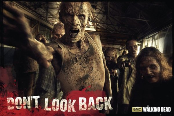The Walking Dead Zombie - plakat