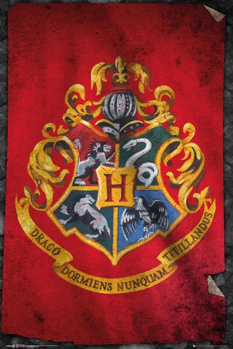 Harry Potter - Hogwart Flaga - plakat