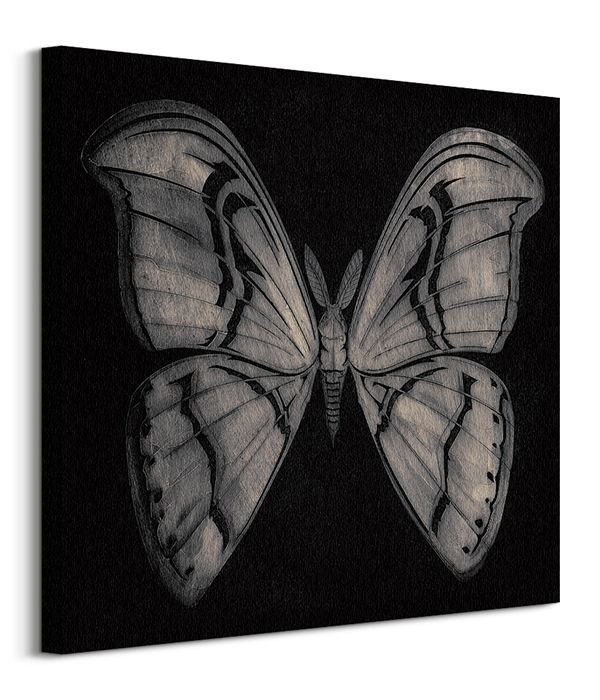 Moth - Obraz na płótnie