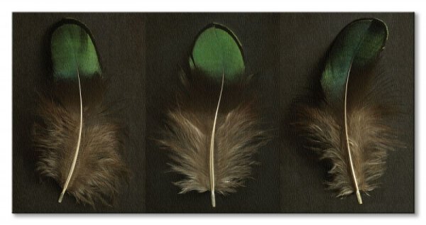 Green Peacock Feather Triptych - obraz na płótnie