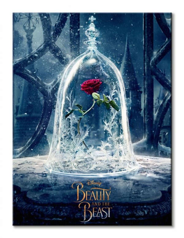 Beauty And The Beast Movie (Enchanted Rose)  - obraz na płótnie