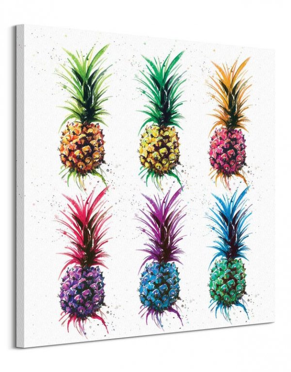 Pineapple Rainbow - obraz na płótnie
