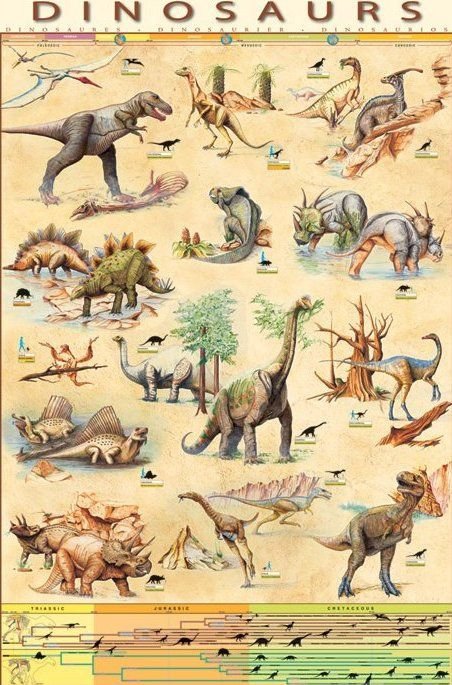 Dinozaury - plakat