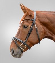 STAR ROSEGOLD Skórzane ogłowie nachrapnik kombinowany dla konia