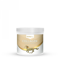.HorseLinePRO Collagen Kolagen preparat wzmacniający ścięgna i stawy 300g