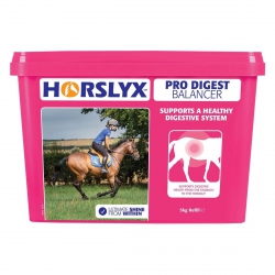 HORSLYX PRO DIGEST Lizawka wspomagająca układ trawienny 5kg 