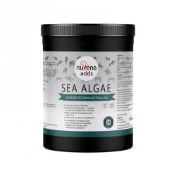 NUVENA SEA ALGAE Algi morskie Preparat wspomagający układ kostny dla konia 1500g