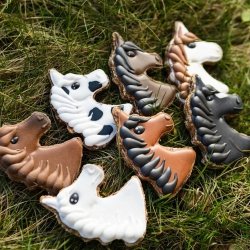 KOŃSKA CUKIERENKA KONIK PIERNICZEK Smakołyki/Cukierki naturalne dla koni