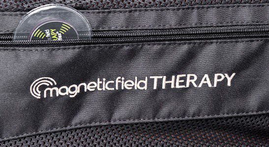 TERAPIA MAGNETYCZMA W PROFILAKTYCE I LECZENIU KONI