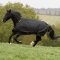 *BUCAS IRIS TURNOUT EXTRA Derka padokowa przeciwdeszczowa 300g