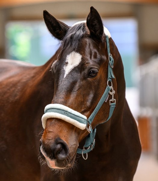 WALDHAUSEN ELEGANT Kantar podszyty futerkiem