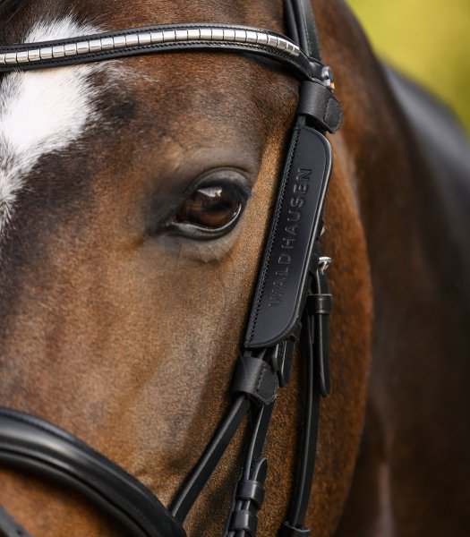 WALDHAUSEN BLINKERS Skórzane zaślepki