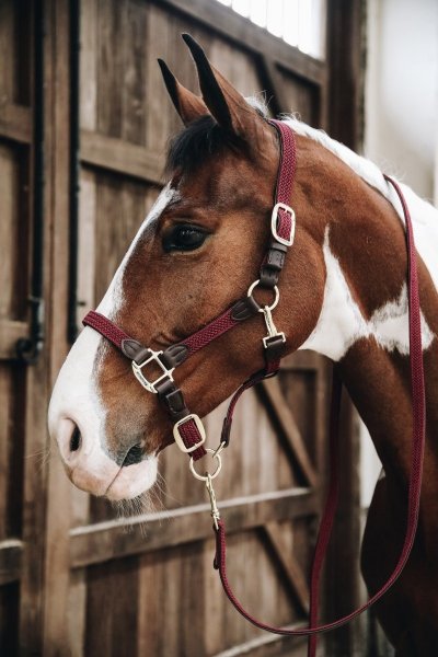 *KENTUCKY NYLON HALTER Pleciony kantar dla koni