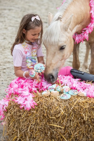 KOŃSKA. CUKIERENKA MUFFINKA SUMMER TIME Smakołyki/Cukierki naturalne dla koni