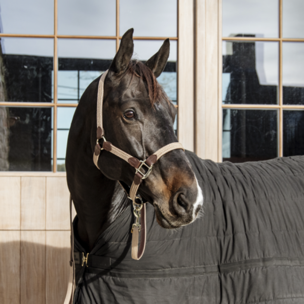 *KENTUCKY NYLON HALTER Pleciony kantar dla koni