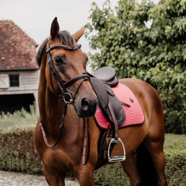 KENTUCKY LEATHER COLOR EDITION Czaprak skokowy PONY
