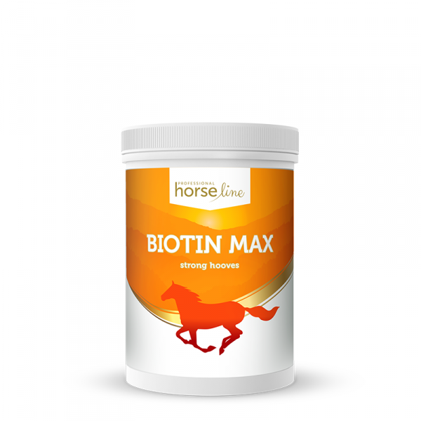 .HorseLinePro BiotinMax Biotyna wzmacniająca kopyta i sierść 500g