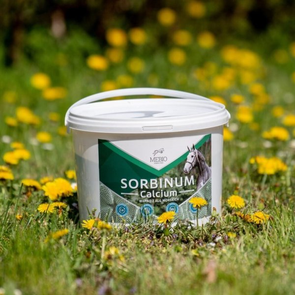 MEBIO SORBINUM CALCIUM Suplement wapno z alg morskich 10kg
